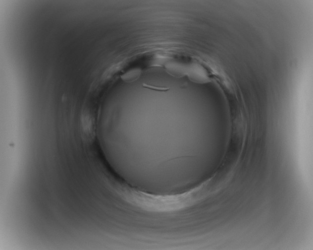 X0000115530031200911131514