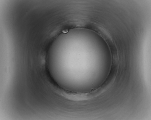 X0000115530032200911131514