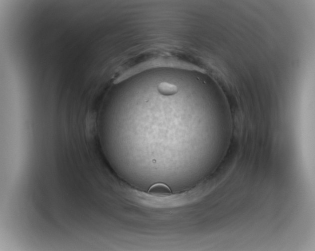 X0000115530034200911131514