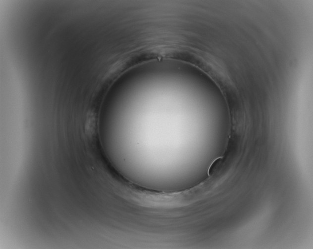 X0000115530036200911131514