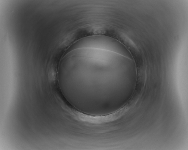 X0000115530039200911131514