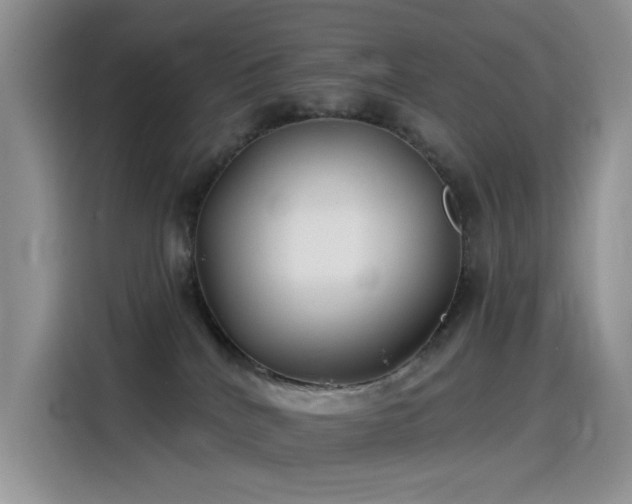 X0000115530040200911131514