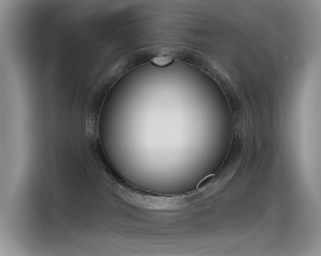 X0000115530044200911131514