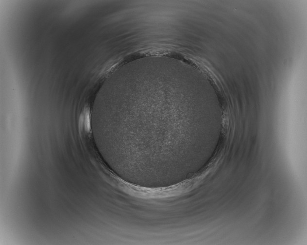 X0000115530046200911131514