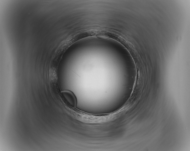 X0000115530048200911131514