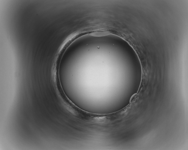 X0000115530054200911131513