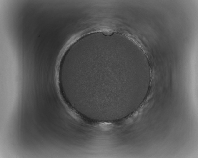 X0000115530055200911131513