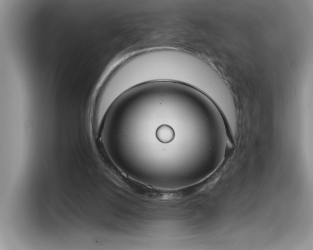 X0000115530056200911131513