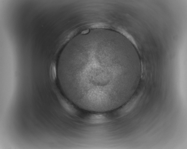 X0000115530061200911131513