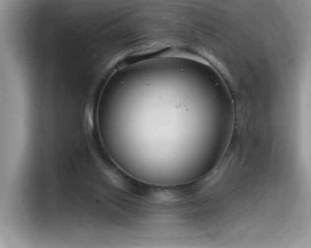 X0000115530062200911131513