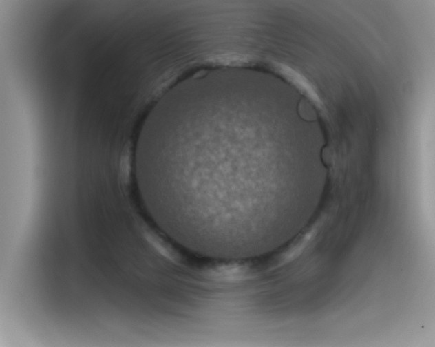 X0000115530065200911131514