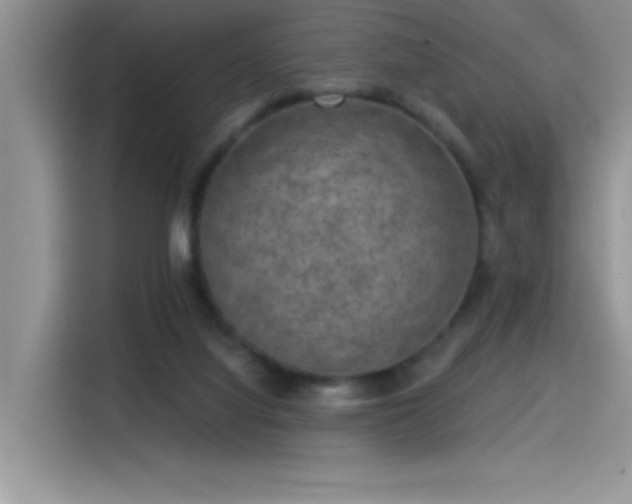 X0000115530068200911131514