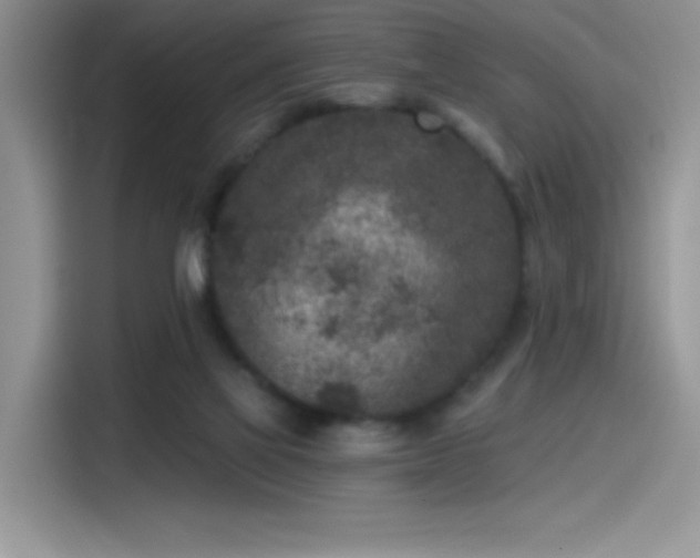 X0000115530069200911131514