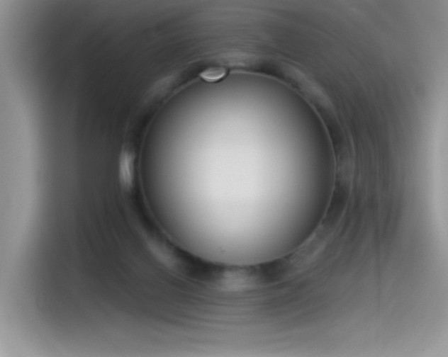 X0000115530070200911131514