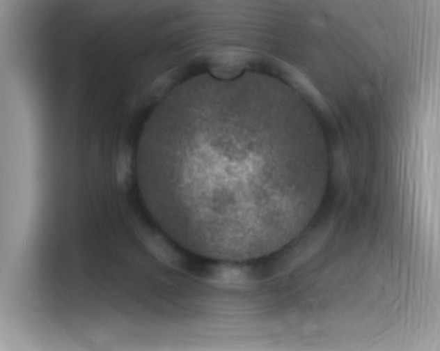 X0000115530073200911131514