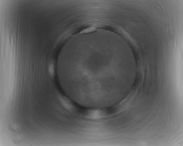 X0000115530074200911131514