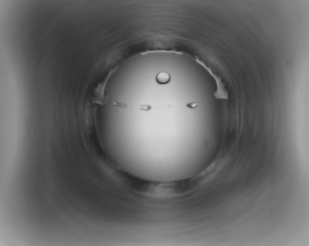 X0000115530078200911131514