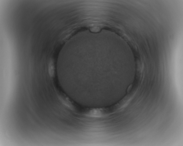 X0000115530080200911131514