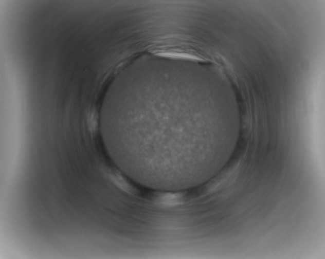 X0000115530081200911131514