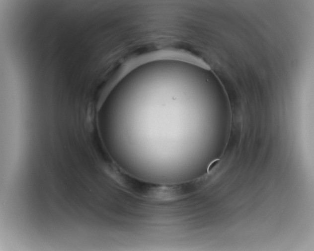 X0000115530082200911131514