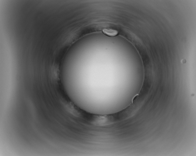 X0000115530083200911131514