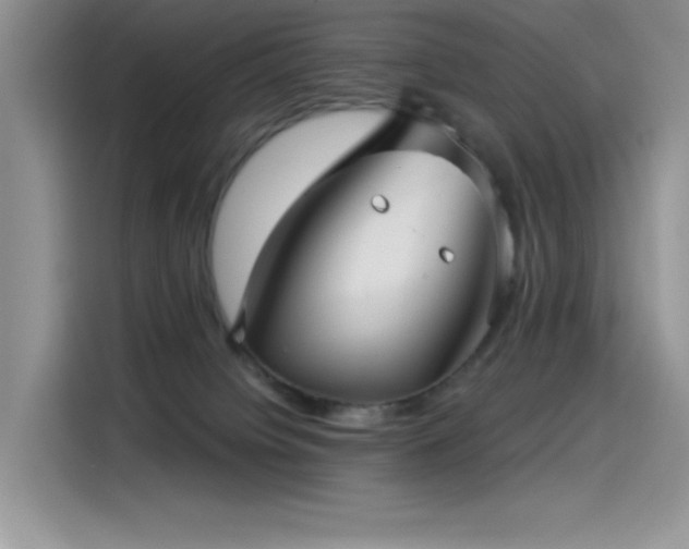 X0000115530084200911131514