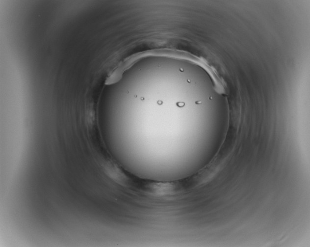 X0000115530085200911131514