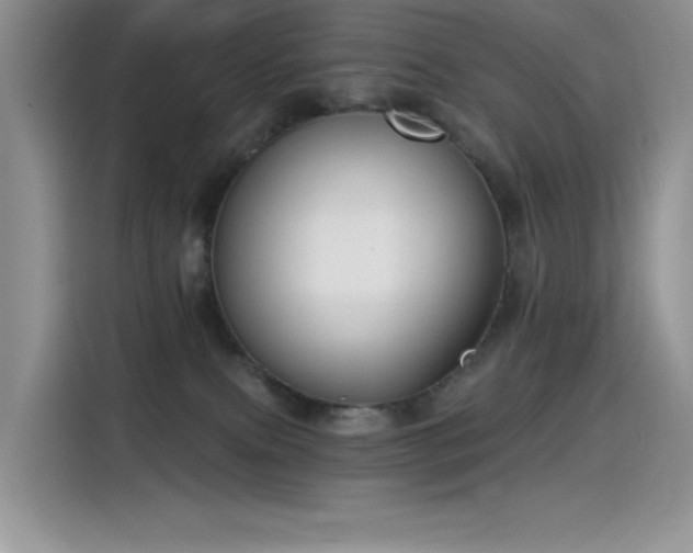 X0000115530087200911131514