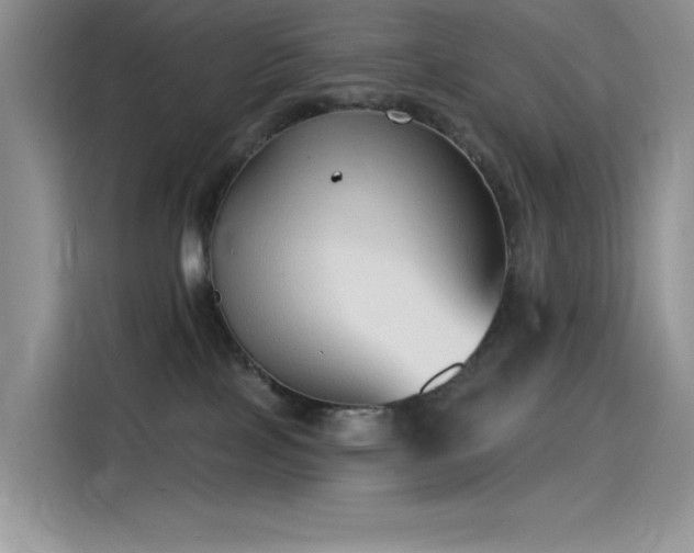 X0000115530089200911131514