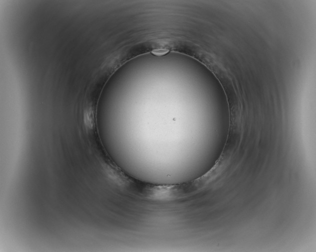 X0000115530090200911131514