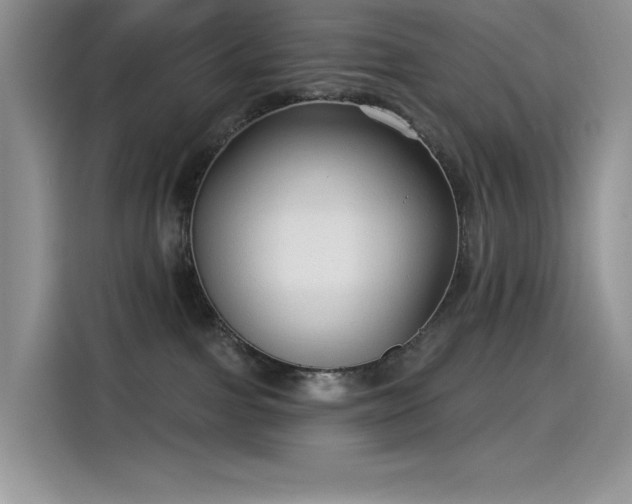 X0000115530091200911131514