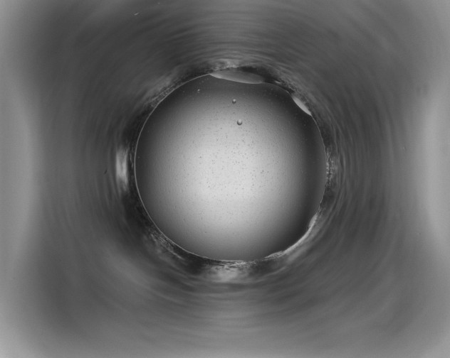 X0000115530094200911131514