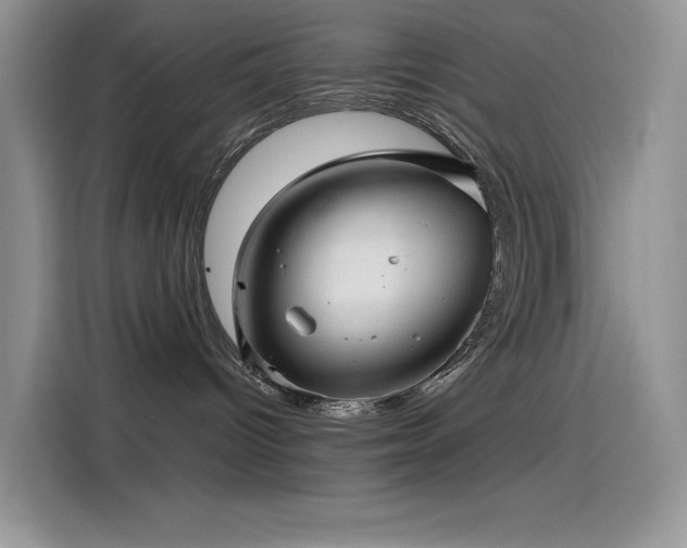 X0000115530096200911131514