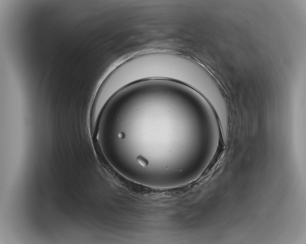 X0000115530100200911131513