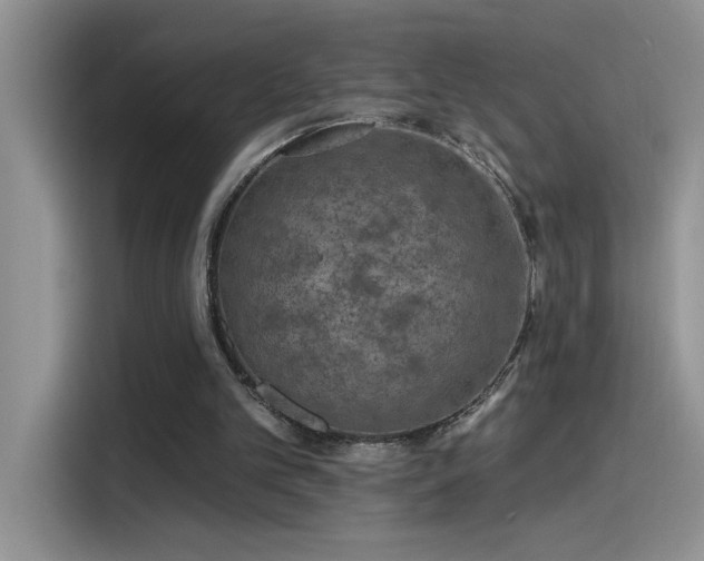 X0000115530101200911131513