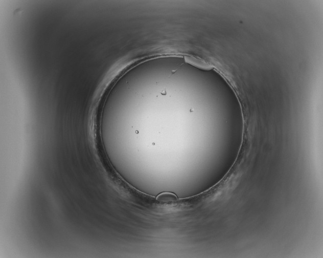 X0000115530103200911131513