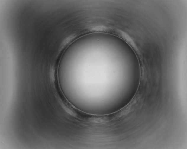 X0000115530106200911131513