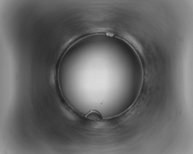 X0000115530107200911131513