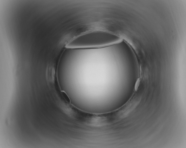 X0000115530109200911131513