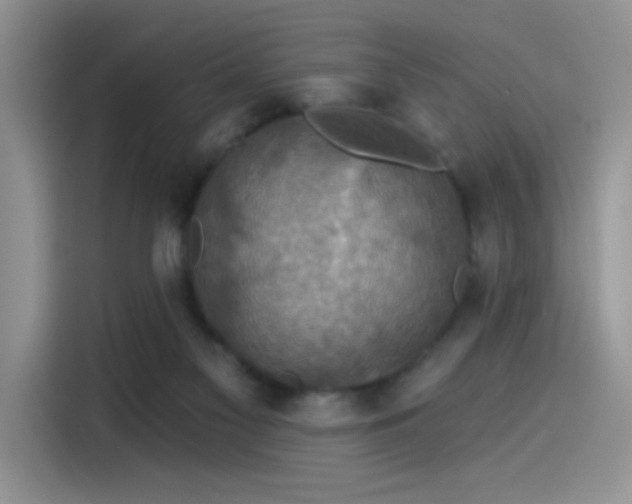 X0000115530117200911131513