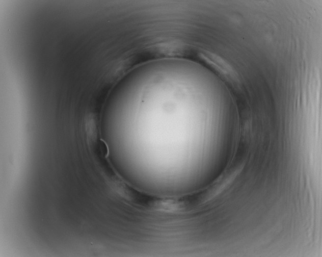 X0000115530121200911131513