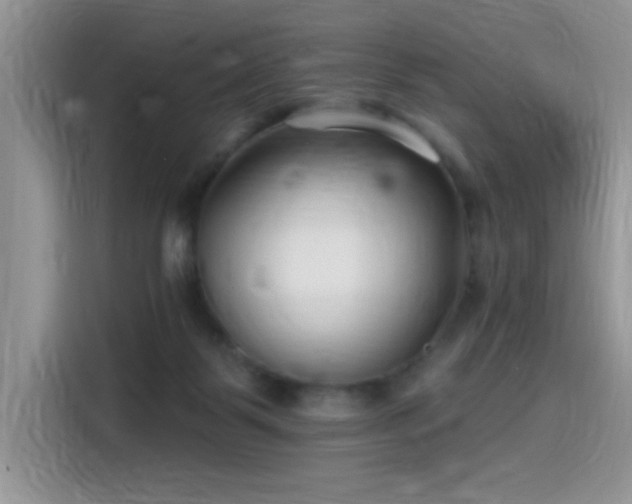 X0000115530123200911131513