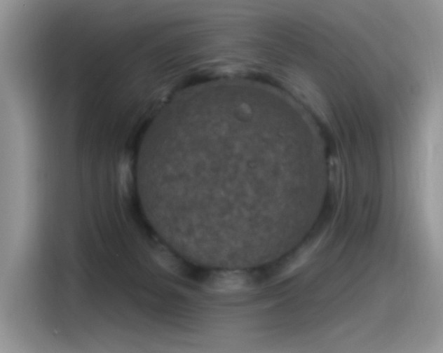 X0000115530127200911131513