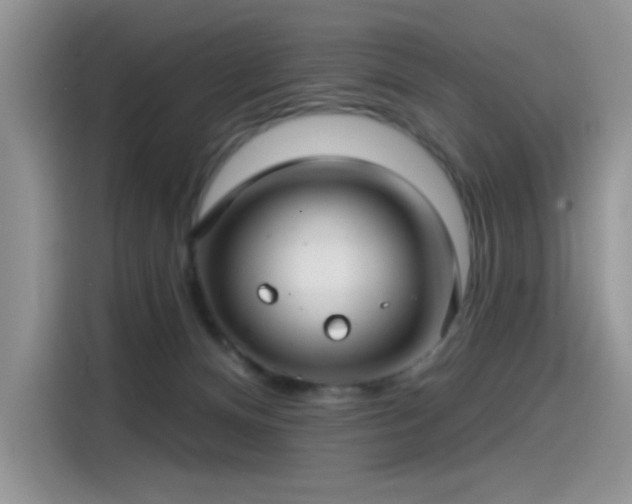 X0000115530128200911131513