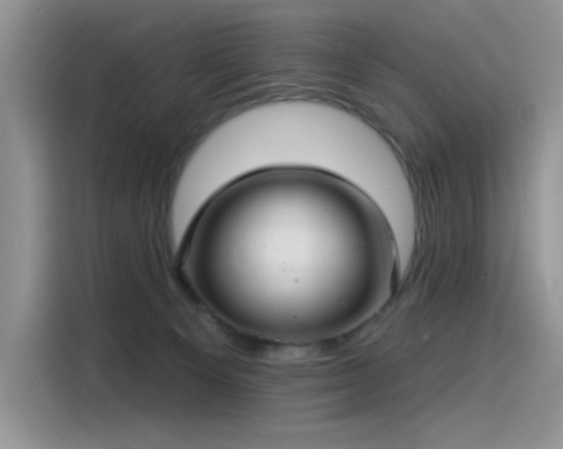 X0000115530129200911131513