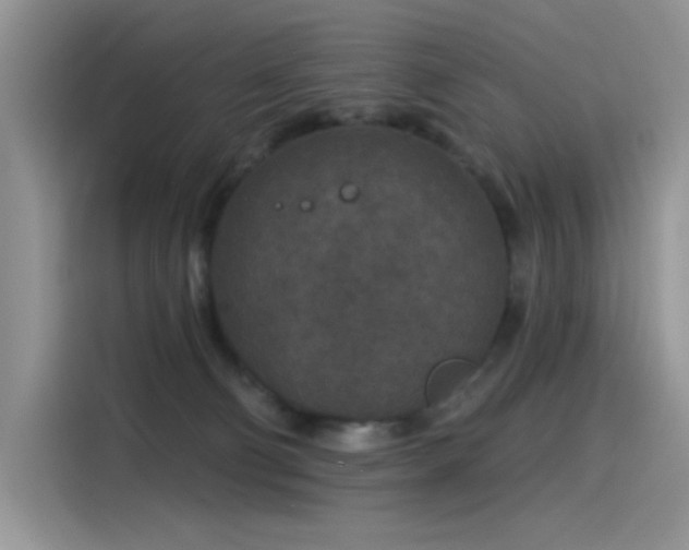 X0000115530130200911131513