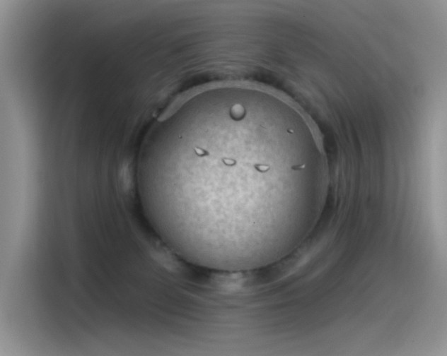 X0000115530131200911131513