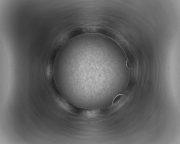 X0000115530134200911131513