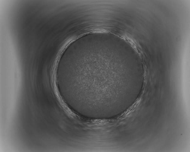 X0000115530145200911131512