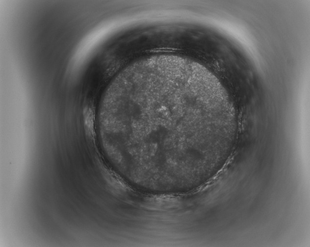 X0000115530146200911131512